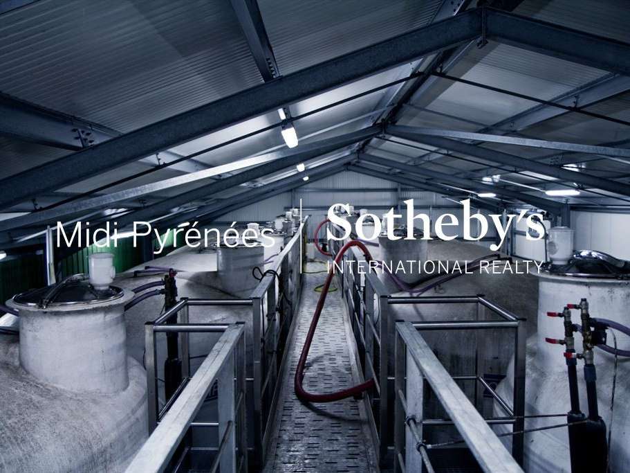 Domaine viticole Mauléon-d'Armagnac