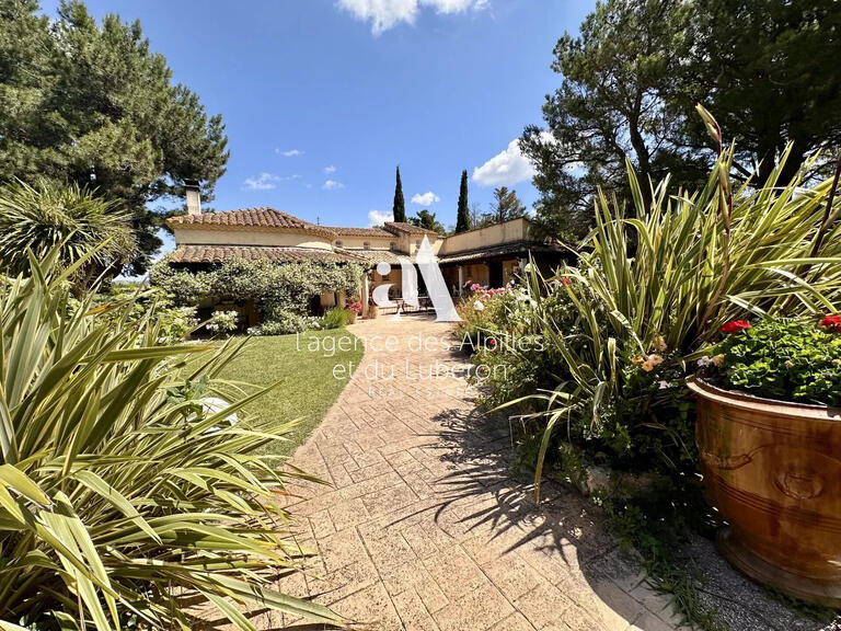 Maison Maussane-les-Alpilles - 5 chambres - 230m²