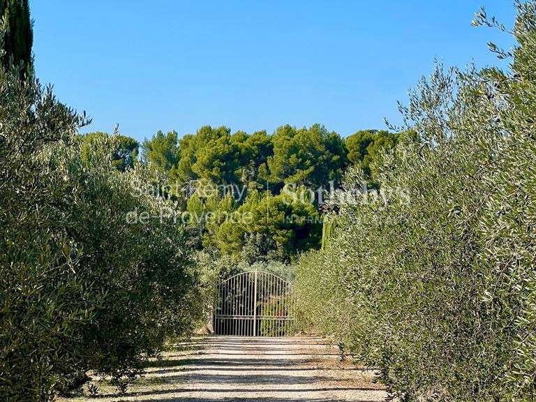 House Maussane-les-Alpilles