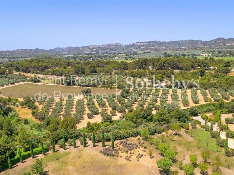 House Maussane-les-Alpilles - 6 bedrooms - 500m²