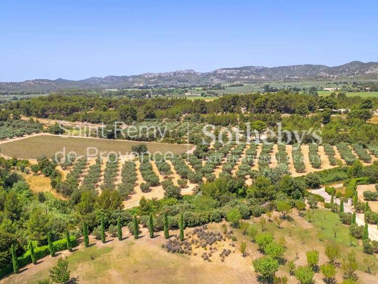 Maison Maussane-les-Alpilles - 6 chambres - 500m²