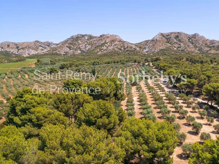 Maison Maussane-les-Alpilles - 6 chambres - 500m²