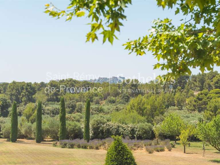 Maison Maussane-les-Alpilles - 6 chambres - 500m²