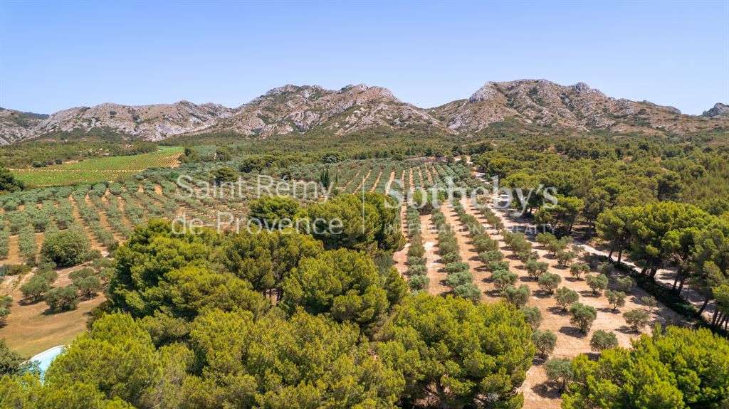 House Maussane-les-Alpilles