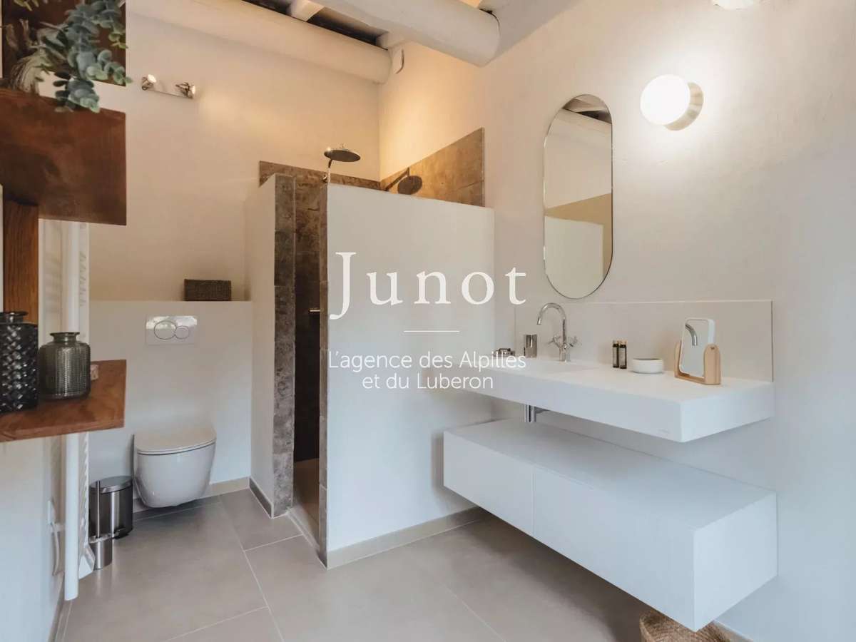 House Maussane-les-Alpilles