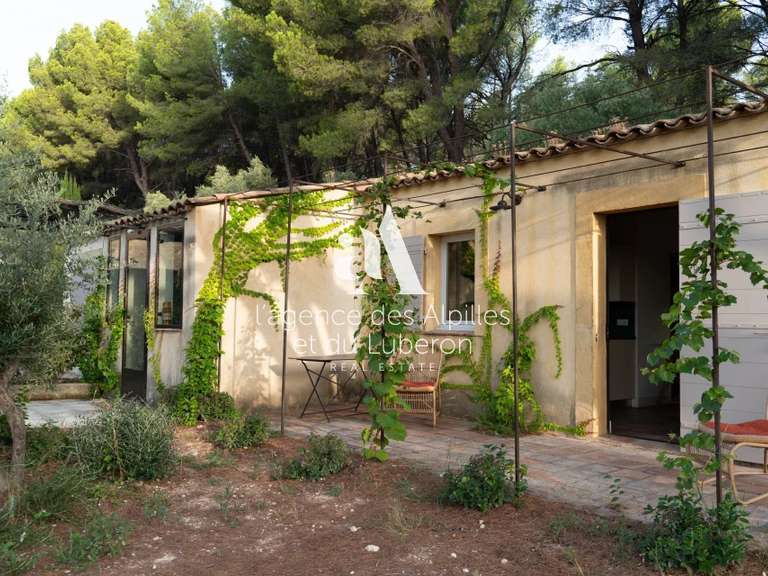 Maison Maussane-les-Alpilles - 5 chambres - 240m²