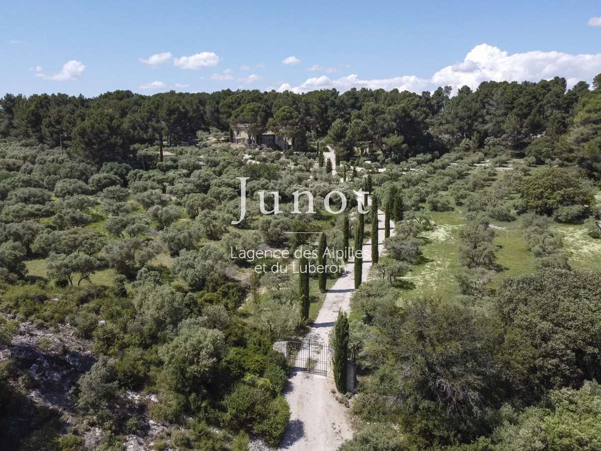 House Maussane-les-Alpilles
