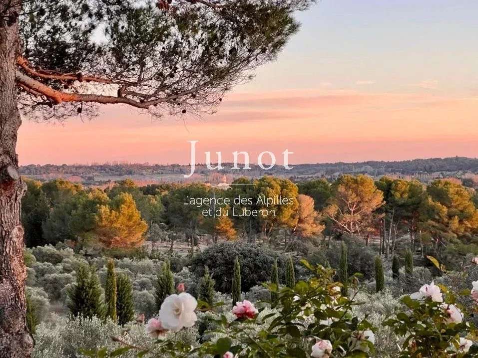 House Maussane-les-Alpilles