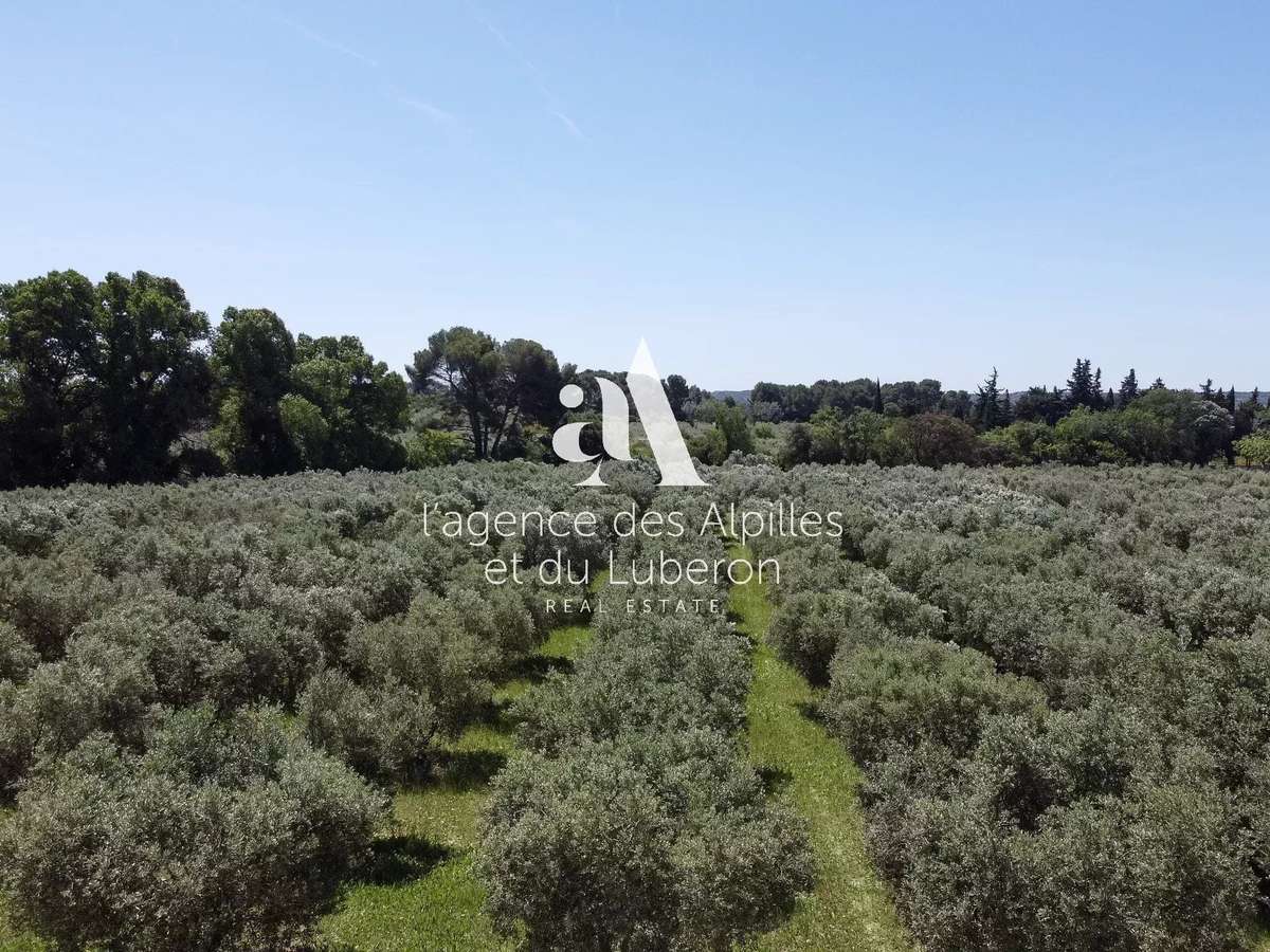 House Maussane-les-Alpilles