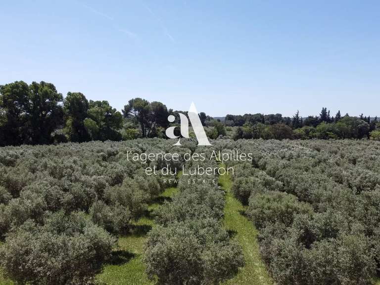 House Maussane-les-Alpilles - 9 bedrooms - 1389m²