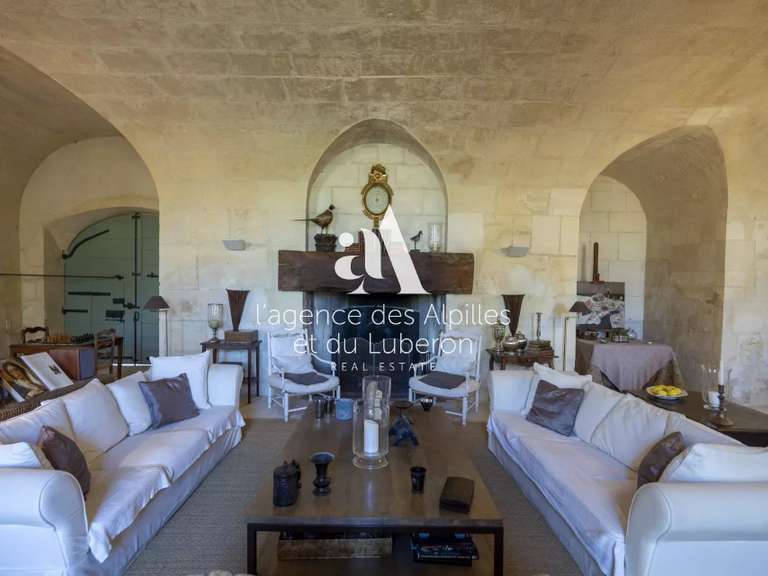 House Maussane-les-Alpilles - 10 bedrooms - 1400m²