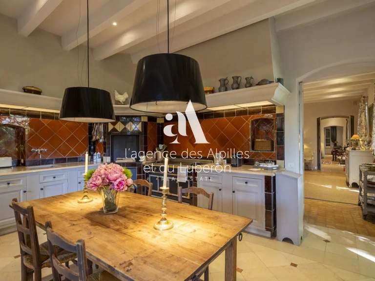 House Maussane-les-Alpilles - 10 bedrooms - 1400m²