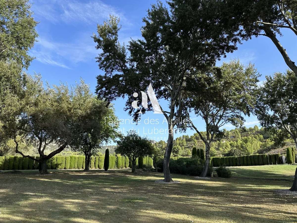 House Maussane-les-Alpilles