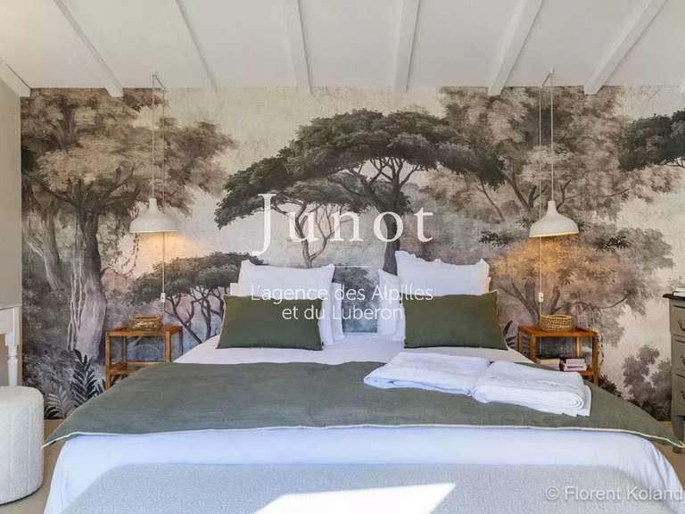 Maison Maussane-les-Alpilles - 6 chambres - 300m²