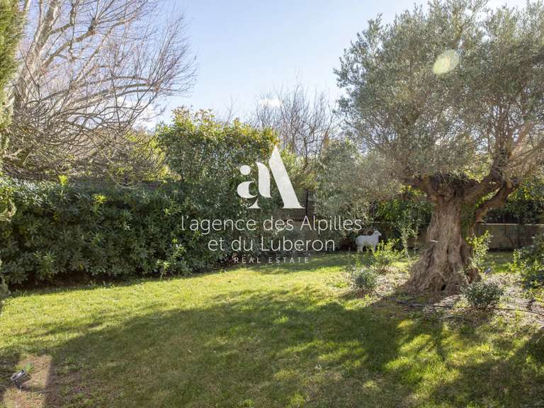 Maison Maussane-les-Alpilles - 4 chambres - 280m²