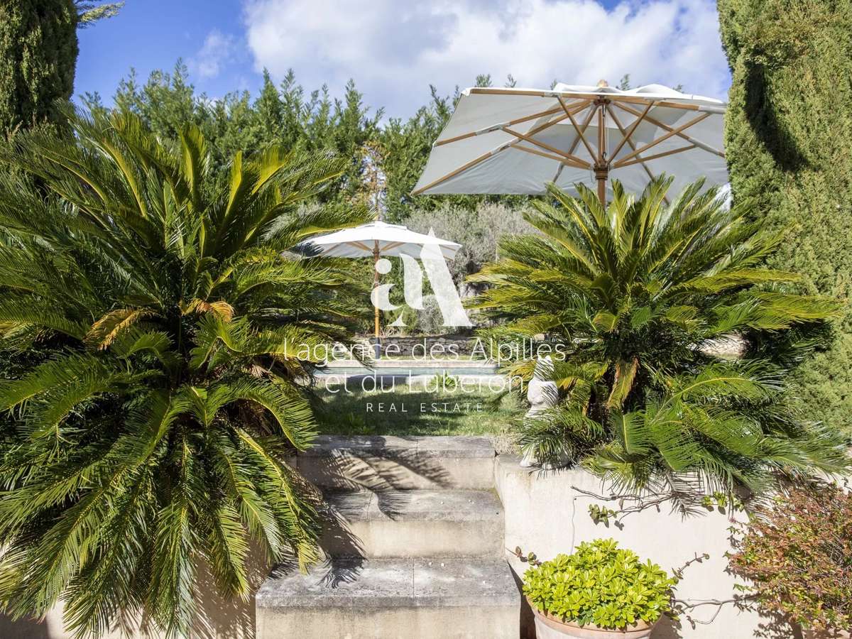 House Maussane-les-Alpilles