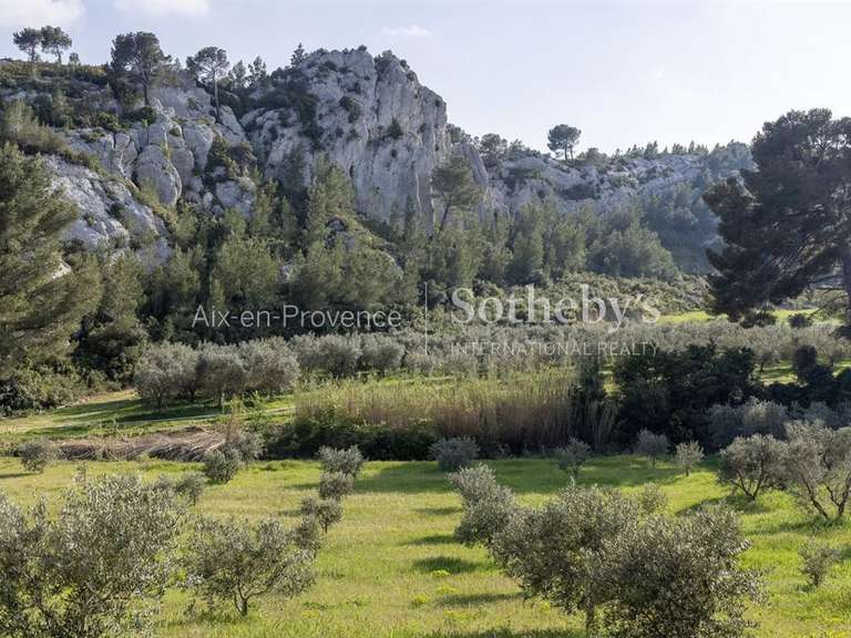 Maison Maussane-les-Alpilles - 6 chambres - 420m²