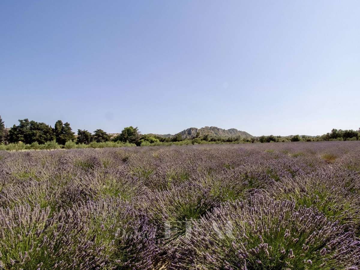 Maison Maussane-les-Alpilles