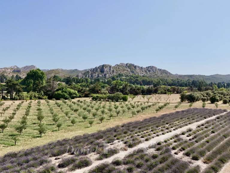 Maison Maussane-les-Alpilles - 8 chambres - 1400m²