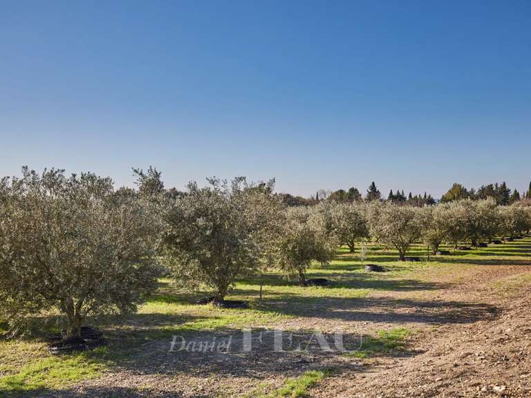 Maison Maussane-les-Alpilles - 8 chambres - 1400m²