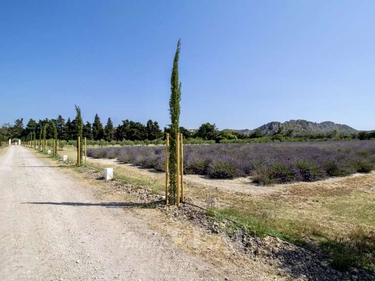 Maison Maussane-les-Alpilles - 8 chambres - 1400m²