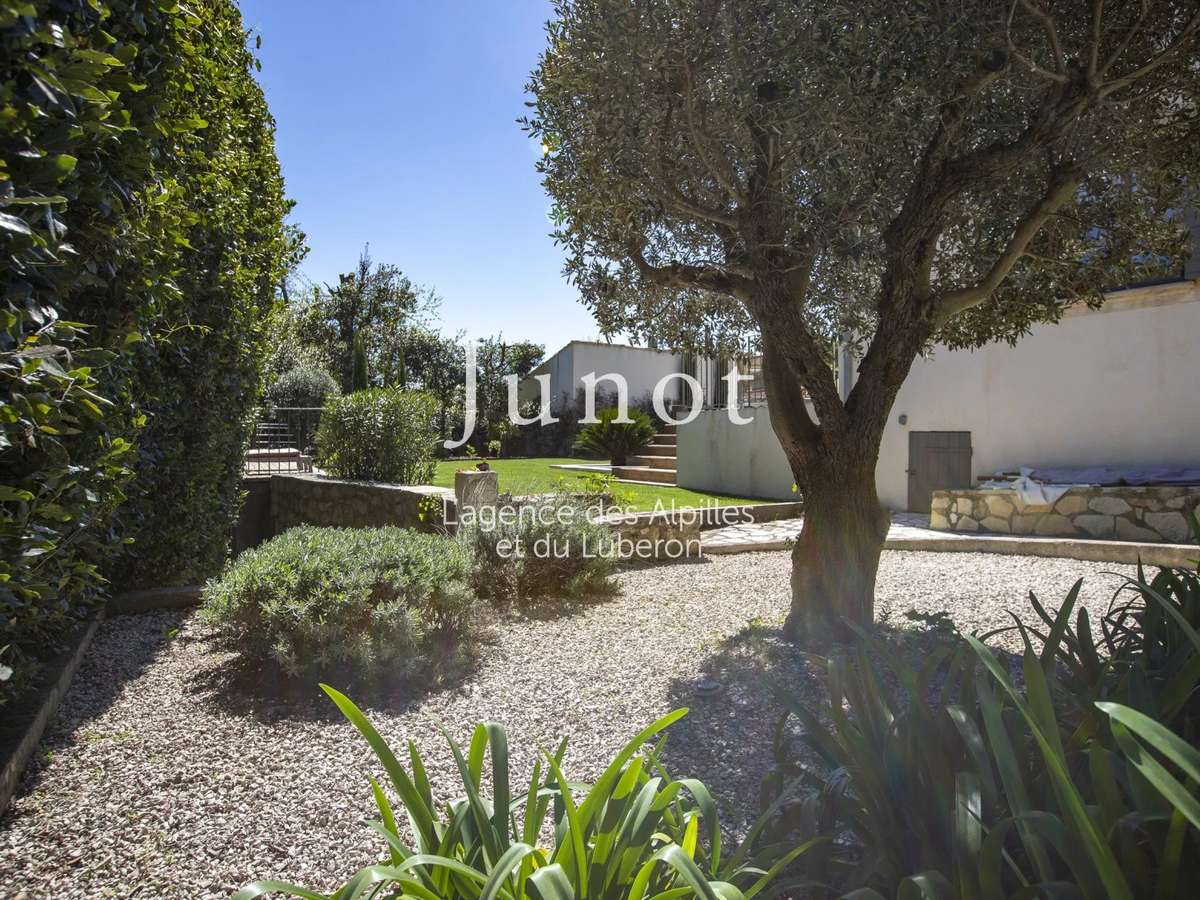 House Maussane-les-Alpilles
