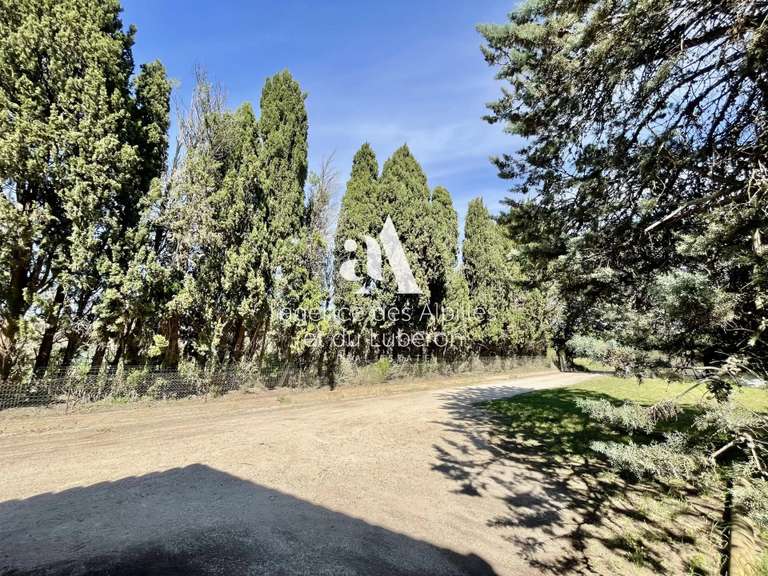 Maison Maussane-les-Alpilles - 4 chambres - 180m²