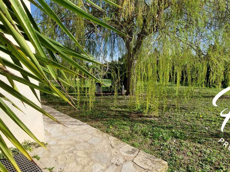 Maison Maussane-les-Alpilles - 4 chambres - 145m²