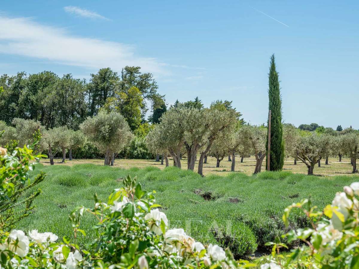 Maison Maussane-les-Alpilles