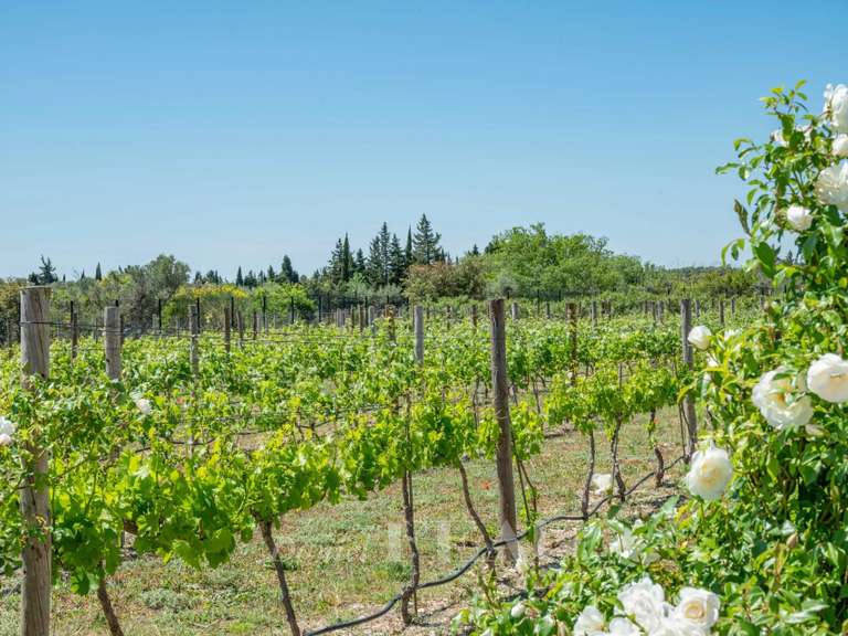 Maison Maussane-les-Alpilles - 4 chambres - 350m²