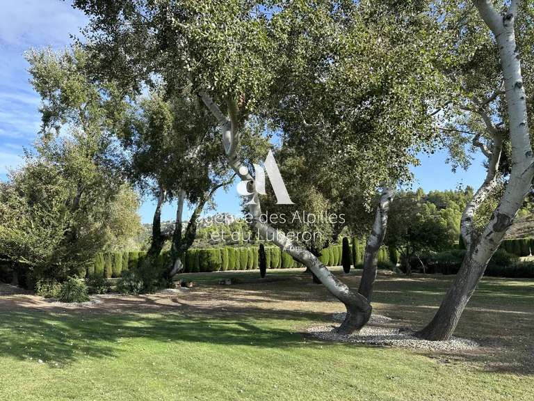 Maison Maussane-les-Alpilles - 5 chambres - 210m²
