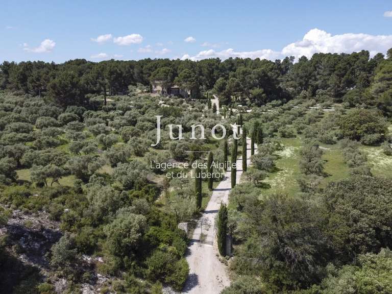 Maison Maussane-les-Alpilles - 5 chambres - 240m²