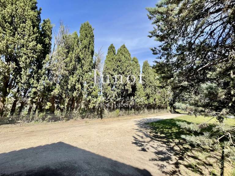 Maison Maussane-les-Alpilles - 4 chambres - 180m²