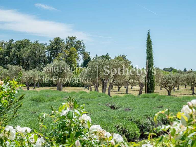 Maison Maussane-les-Alpilles - 350m²