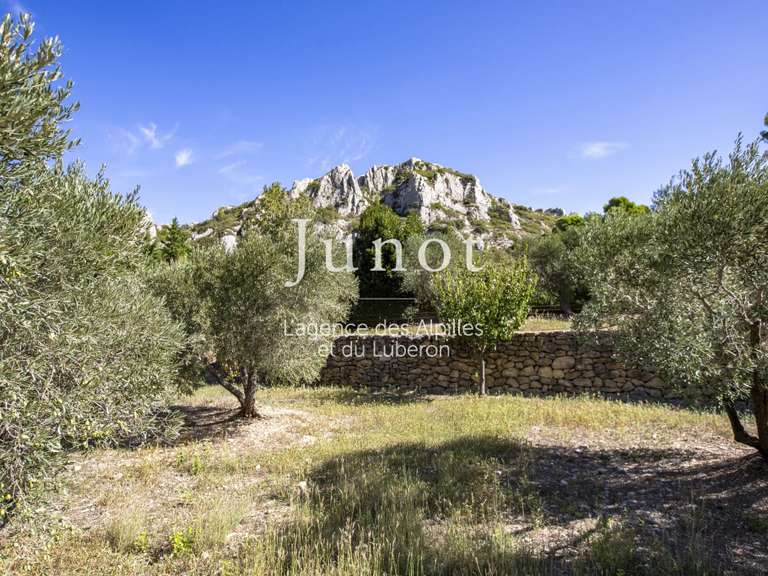 Maison Maussane-les-Alpilles - 2 chambres - 220m²