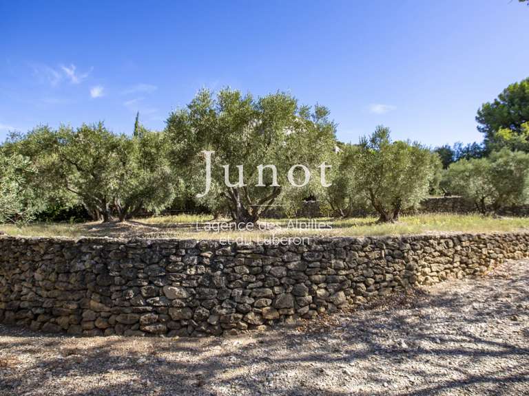 Maison Maussane-les-Alpilles - 2 chambres - 220m²
