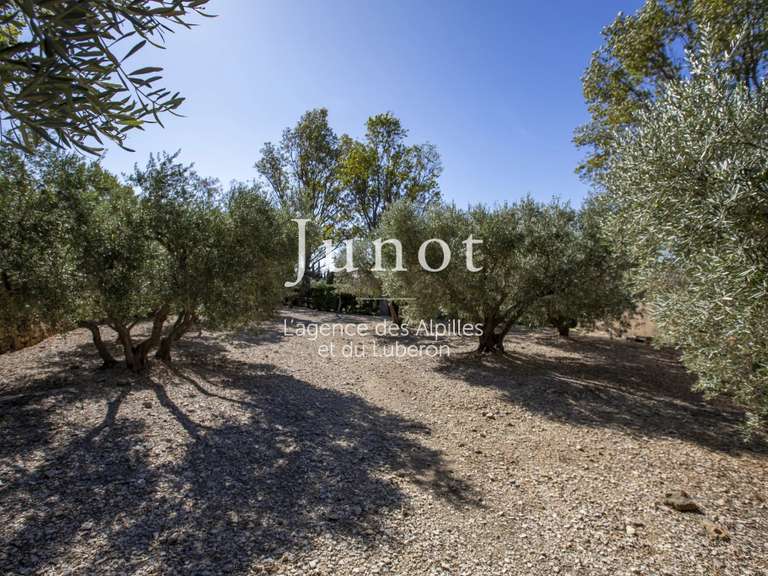 Maison Maussane-les-Alpilles - 2 chambres - 220m²