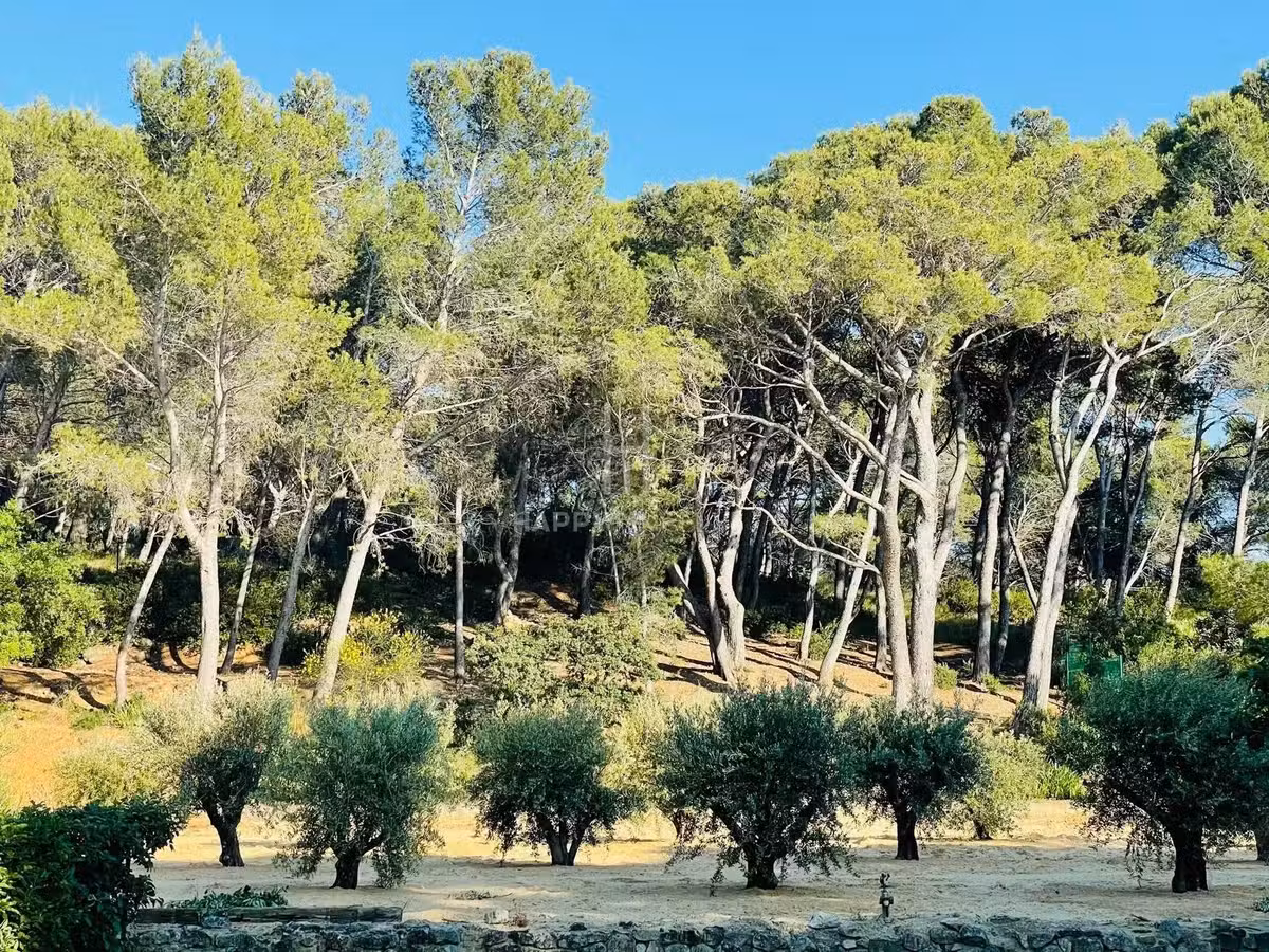 Maison Maussane-les-Alpilles