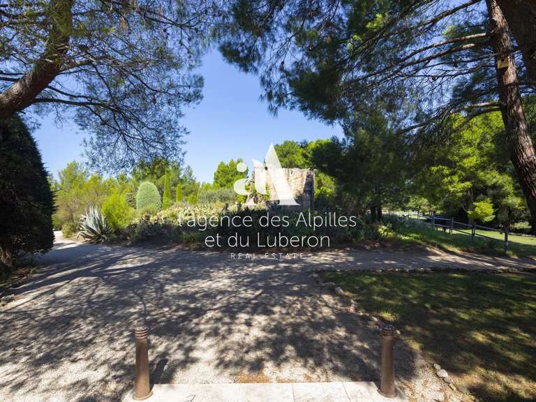 Propriété Maussane-les-Alpilles - 13 chambres - 1600m²