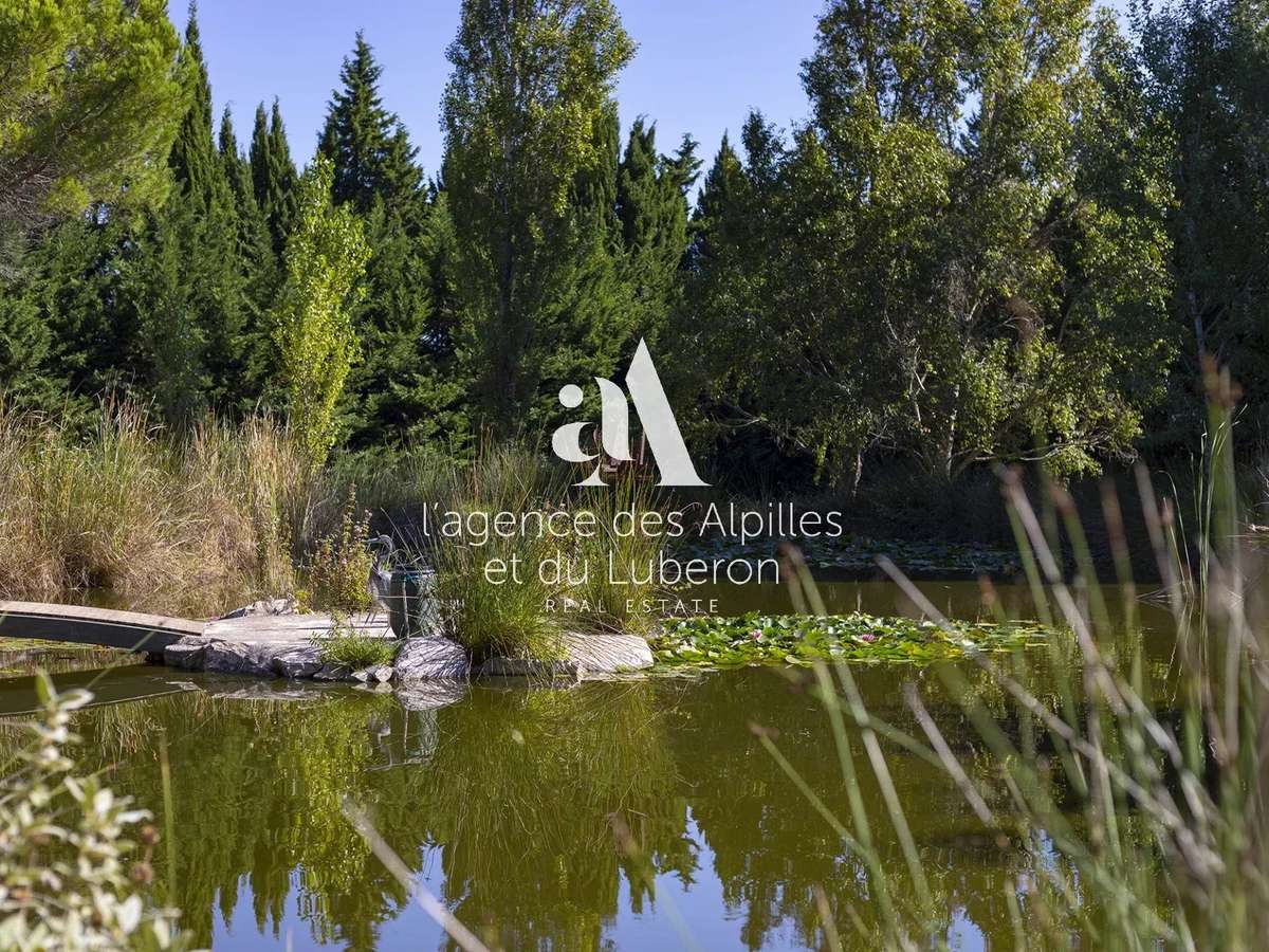 Propriété Maussane-les-Alpilles