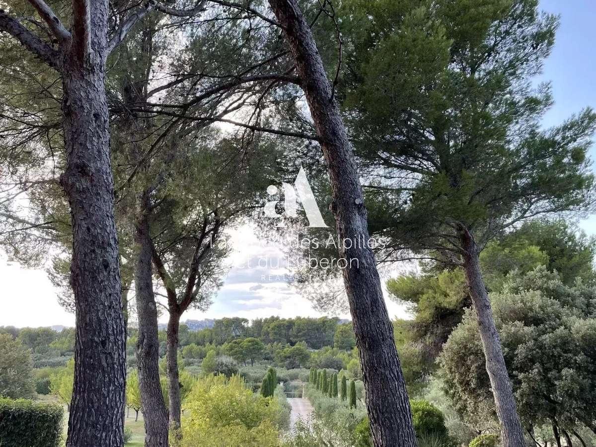 Propriété Maussane-les-Alpilles