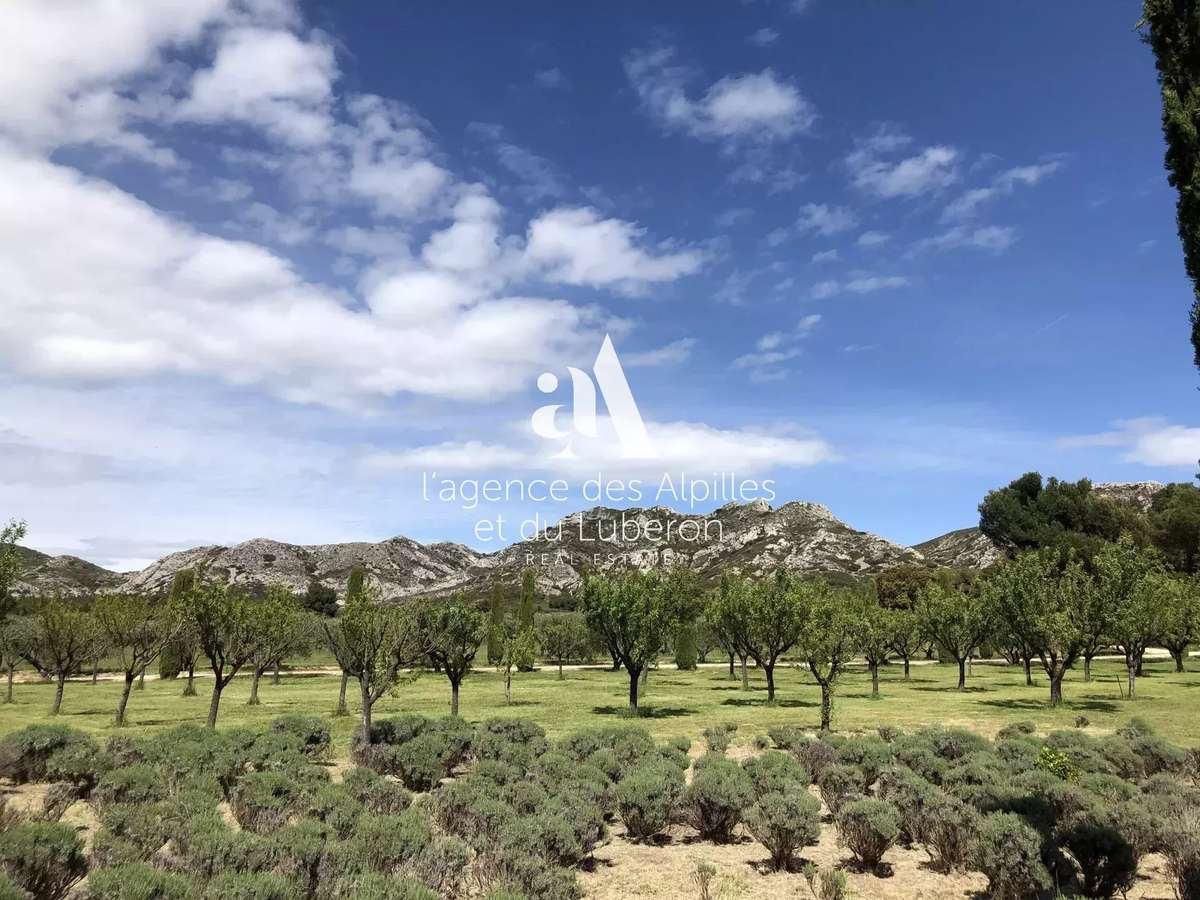 Propriété Maussane-les-Alpilles