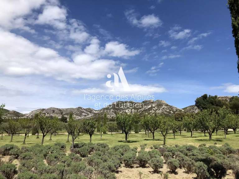 Propriété Maussane-les-Alpilles - 6 chambres - 670m²