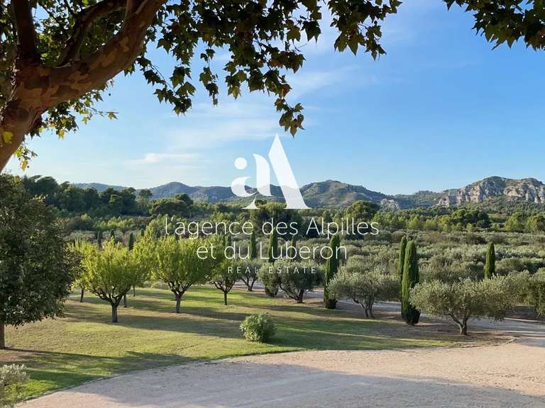 Propriété Maussane-les-Alpilles - 6 chambres - 670m²