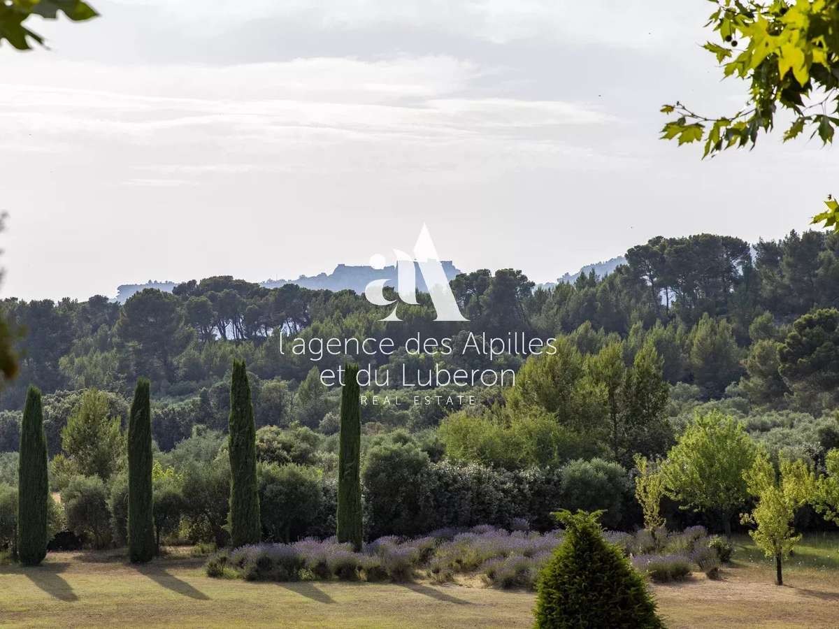 Propriété Maussane-les-Alpilles
