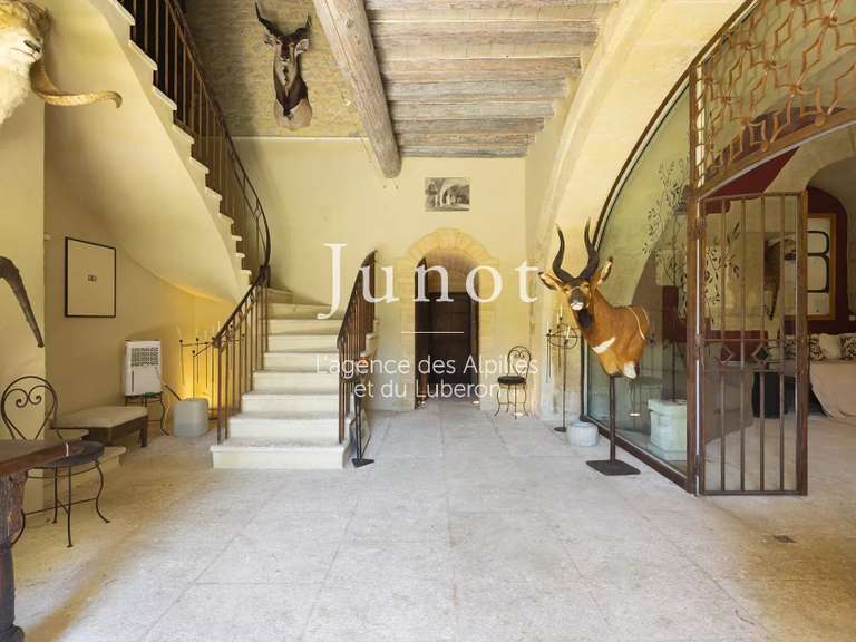 Propriété Maussane-les-Alpilles - 13 chambres - 1600m²