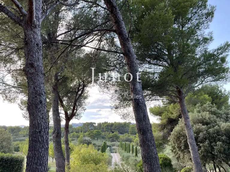 Propriété Maussane-les-Alpilles - 6 chambres - 670m²