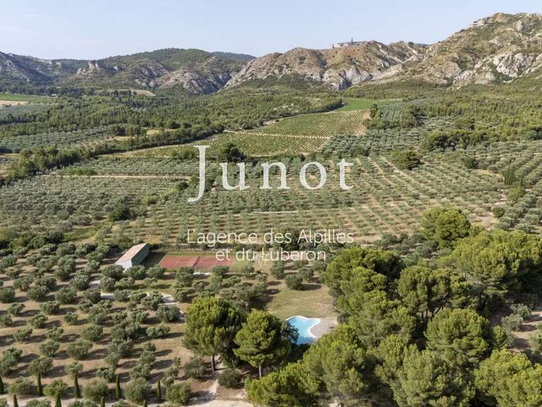 Propriété Maussane-les-Alpilles - 6 chambres - 670m²