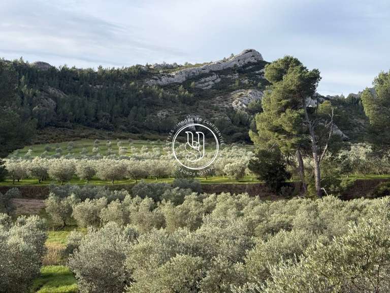 Villa Maussane-les-Alpilles - 800m²