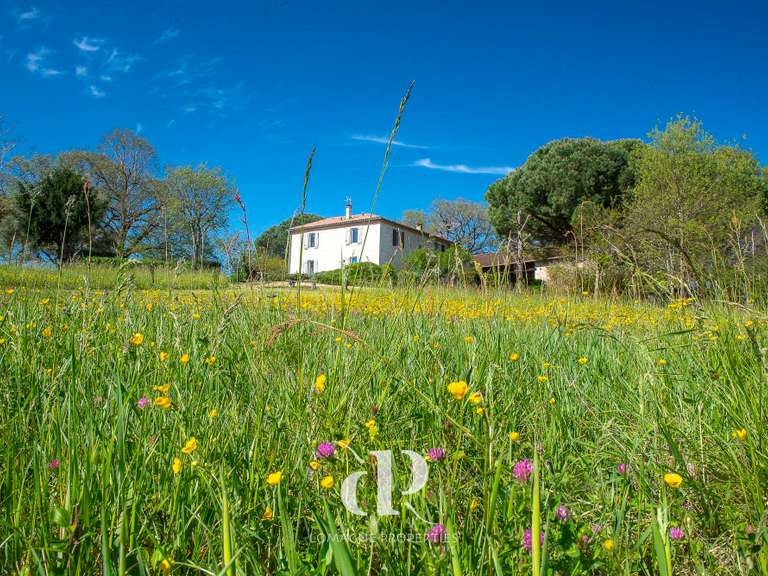 Maison Mauvezin - 4 chambres - 259m²